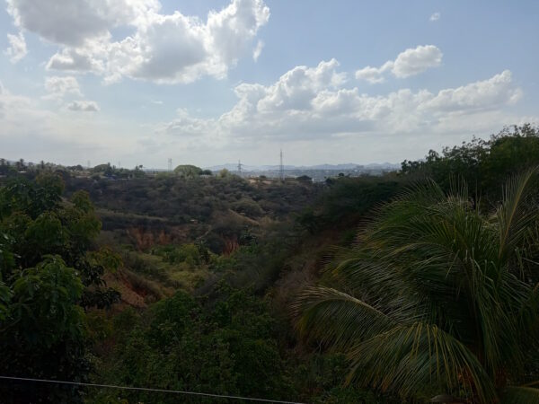 vista de barquisimeto