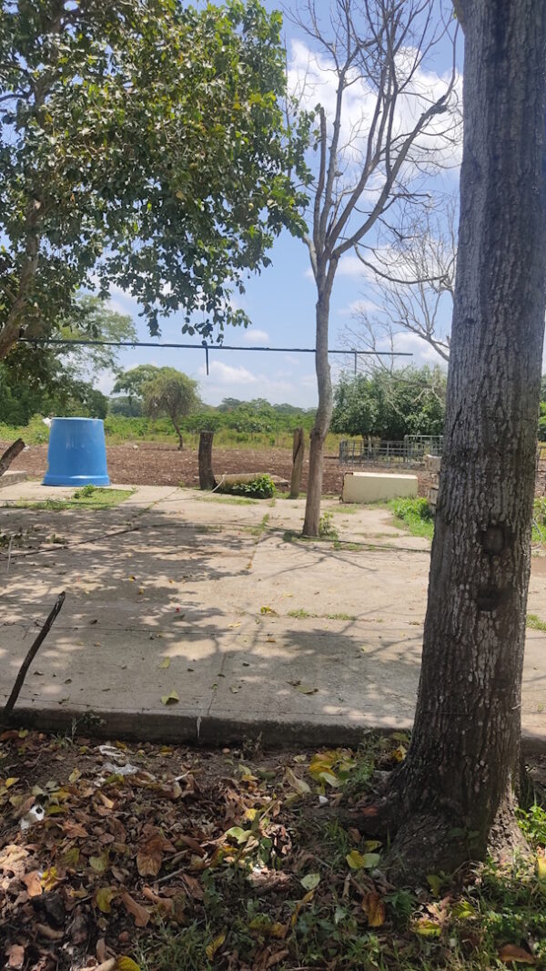 VENDO finca de 28 hectáreas a 10 min del centro de San Felipe, estado Yaracuy - Image 4